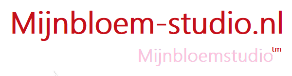 Mijnbloem-studio -door Lonneke Furst